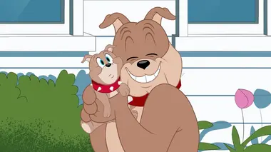 Tom et Jerry Show S04E225 La catastrophe !
