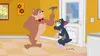 Tom et Jerry Show S01E43 Le bon tuyau (2014)