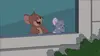 Tom et Jerry Show S02E02 Il tombe des cordes (2016)