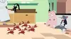 Tom et Jerry Show Un panier de crabes (2020)