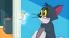 Tom et Jerry Show S02E43 L'art de la guerre (2017)