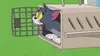 Tom et Jerry Show S02E51 Au tout début (2018)