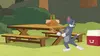 Tom et Jerry Show L'ami des aigles (2019)
