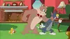 Tom et Jerry Show S02E03 Minou trop chou