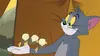 Tom et Jerry Show L'ami des aigles