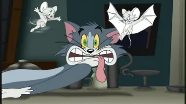 Une chauve-souris pas si chauve / Un dimanche tranquille / Tom et Jerry en Egypte