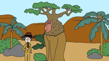 Le baobabouin