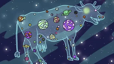 La supernovache