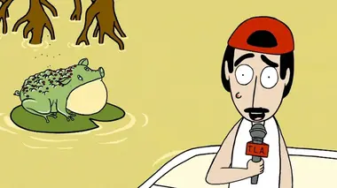 Le craporc