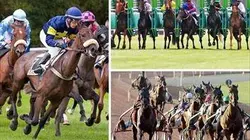 Sur Equidia à 21h15 : Top courses