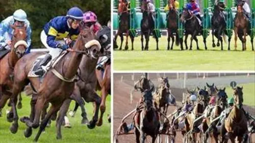 Top courses Rétro Grand Steeple