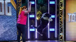 Top Dog - Quel chien sera le plus agile ?