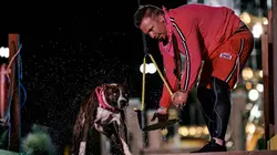 Top Dog - Quel chien sera le plus agile ?