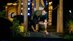 Top Dog - Quel chien sera le plus agile ?