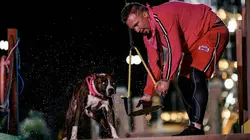 Top Dog - Quel chien sera le plus agile ?