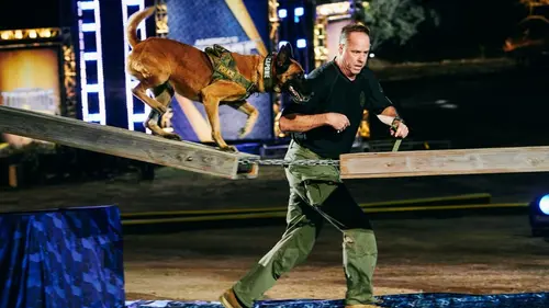 Top Dog - Quel chien sera le plus agile ? Pulling a fast one