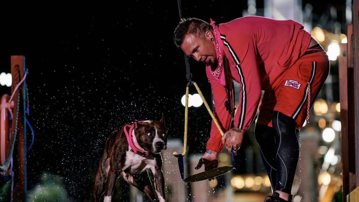 Top Dog - Quel chien sera le plus agile ? Beauty, brains and bark