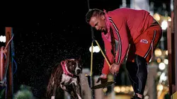 Visuel de Top Dog - Quel chien sera le plus agile ?