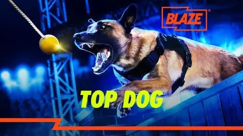 Top Dog - Quel chien sera le plus agile ?