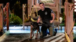 Top Dog - Quel chien sera le plus agile ? Title match to top them all