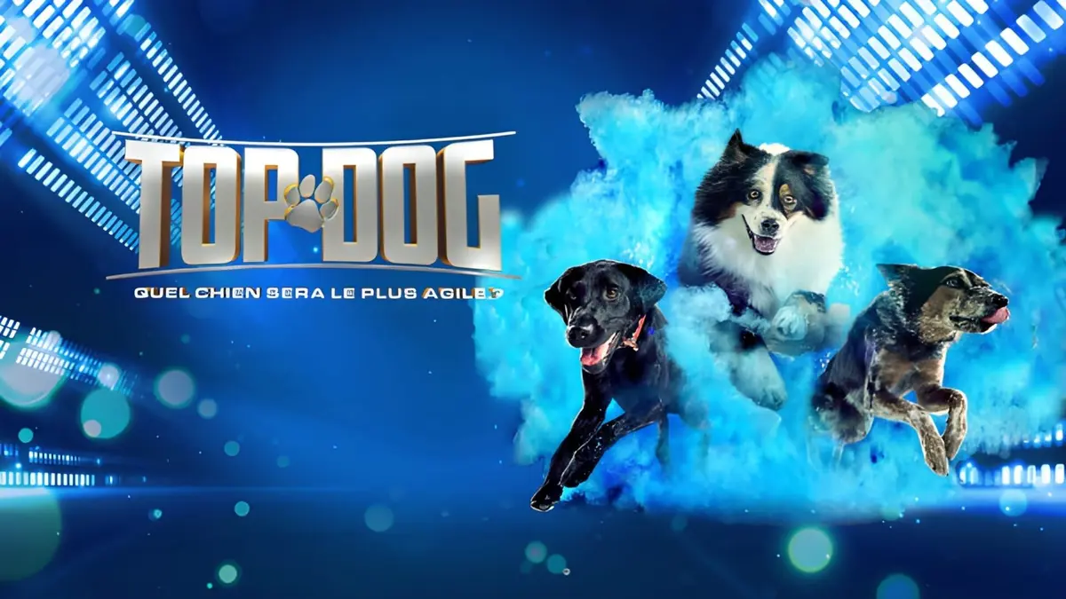 Top Dog - Quel chien sera le plus agile ? S03E01 New Season, New Dogs