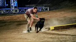 Visuel de Top Dog - Quel chien sera le plus agile ?