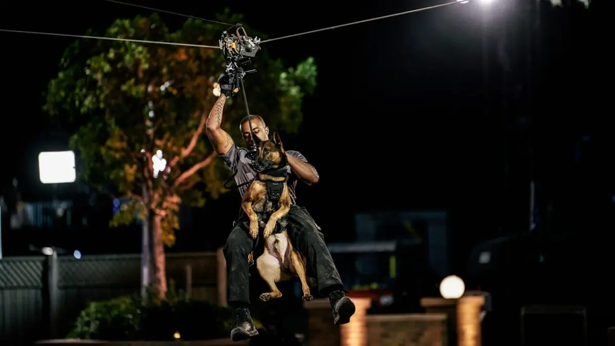 Top Dog - Quel chien sera le plus agile ? S03E06 Pound Pups to Top Dogs