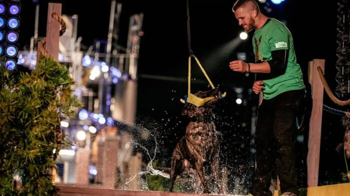Top Dog - Quel chien sera le plus agile ? S03E07 Redemption on the Line