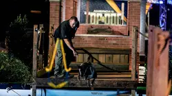 Visuel de Top Dog - Quel chien sera le plus agile ?