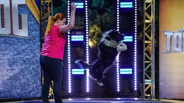 Top Dog - Quel chien sera le plus agile ? Tricks, trials and takedowns