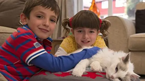 Topsy et Tim S02E09 Le chat perdu