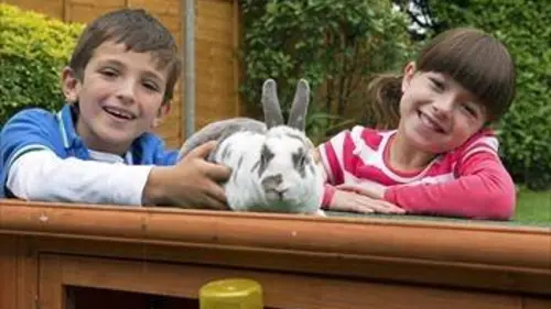 Topsy et Tim S02E02 Un nouveau petit compagnon