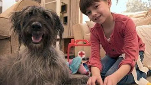 Topsy et Tim S02E06 Mal à la patte