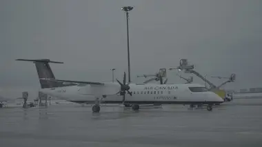 Un intrus dans l'aéroport