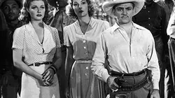 Visuel de Torrid Zone