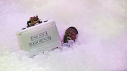 Total knock out : le parcours des champions