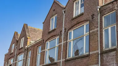 Total renovation : Freres en affaires