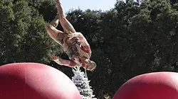Visuel de Total Wipeout : Made in USA