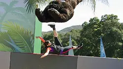 Visuel de Total Wipeout : Made in USA