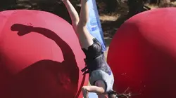 Visuel de Total Wipeout : Made in USA
