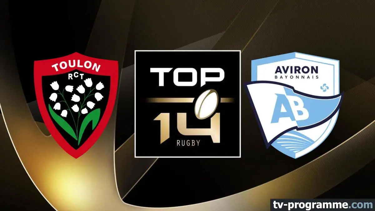 Toulon / Bayonne Rugby Top 14 2024-2025