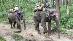 Tour du monde en famille Déesse et éléphants