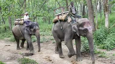 Déesse et éléphants