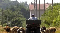 Tous au Larzac en streaming