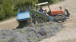 Tous les parfums du monde