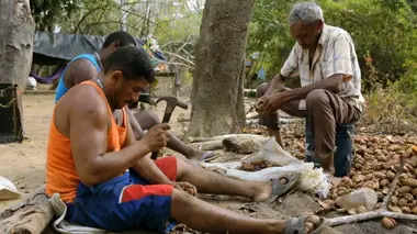 Tous les parfums du monde S01E03 La fève Tonka du Venezuela