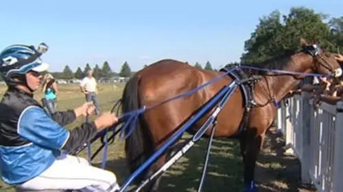 Tous pour Timoko, Timoko pour tous !