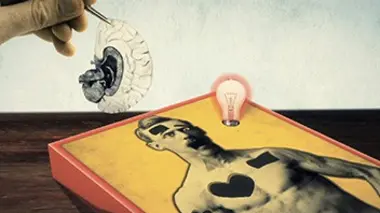 Le cerveau