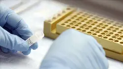 Tout est sous contrôle