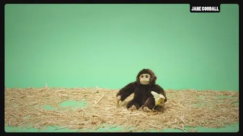 Tout est vrai (ou presque) S05E24 Jane Goodall